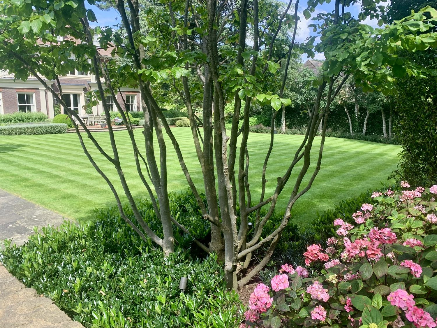 Urban Garden Maintenance - Private Gardens