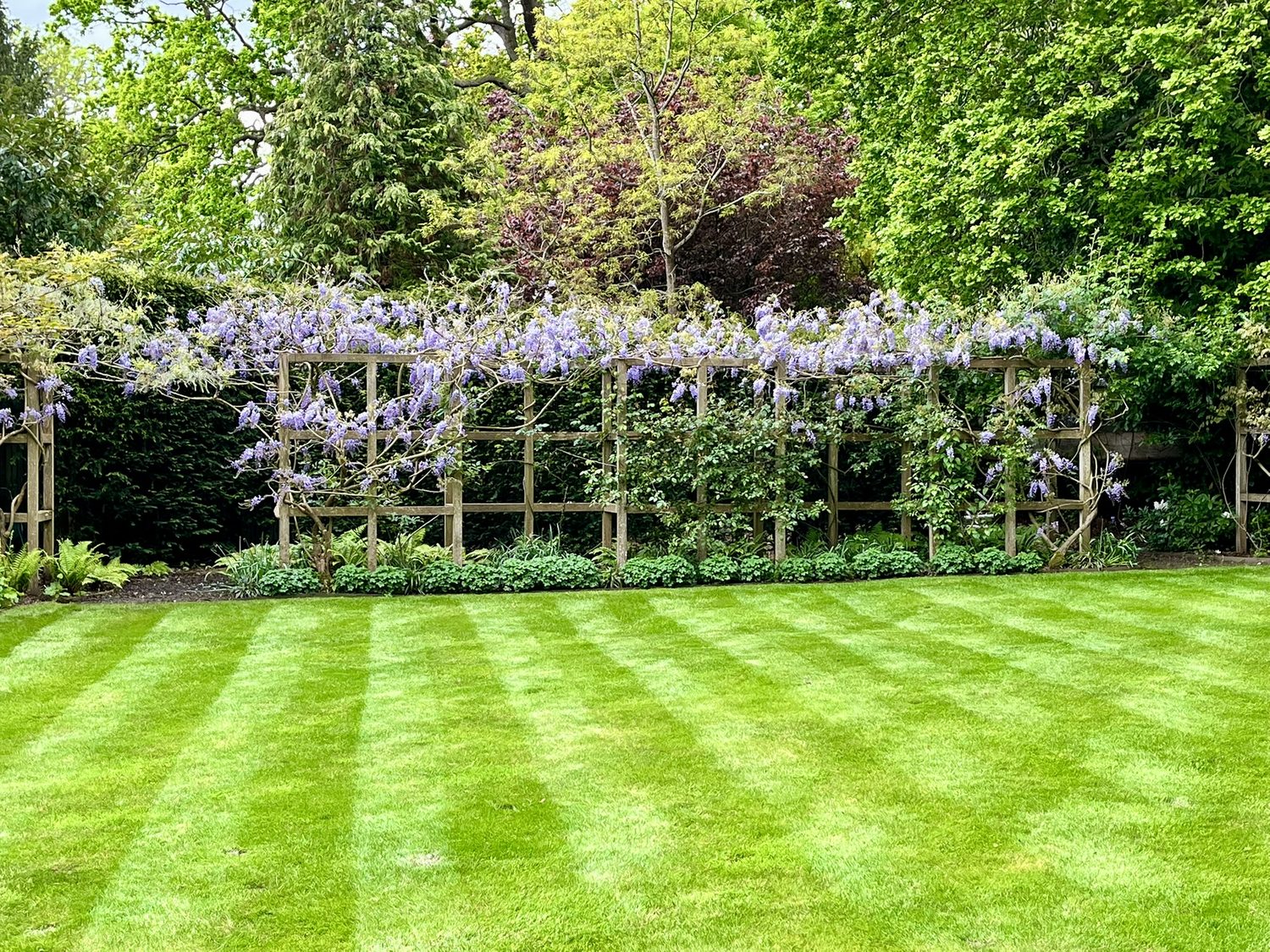 Urban Garden Maintenance - Private Gardens