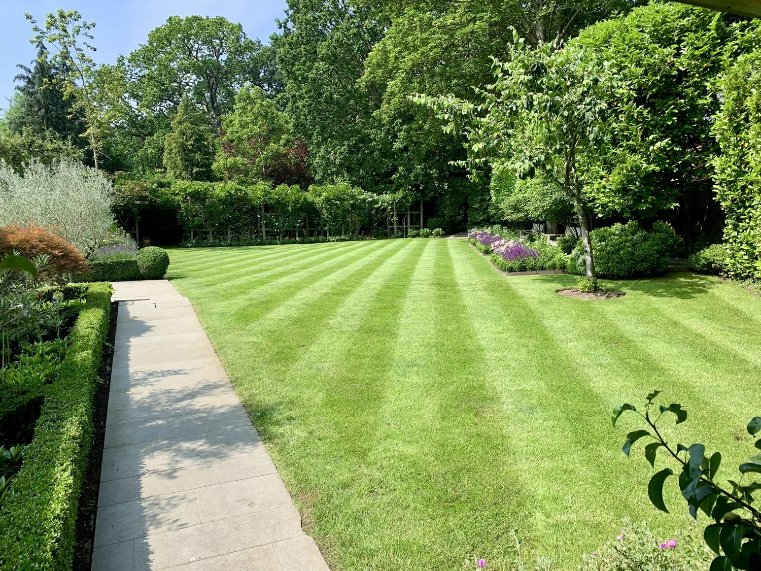 Urban Garden Maintenance - Private Gardens