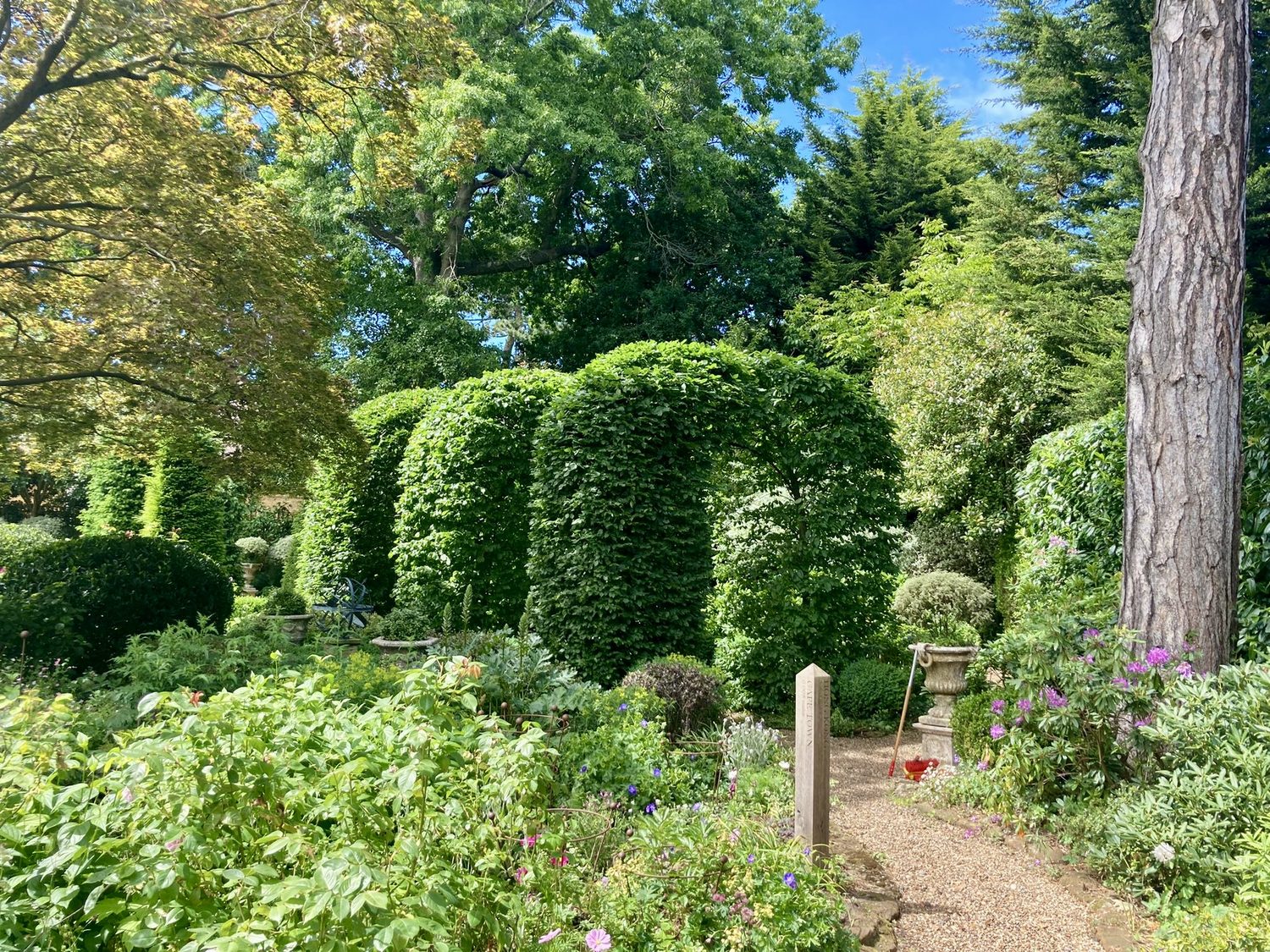 Seasonal Garden Tidy-Up Services