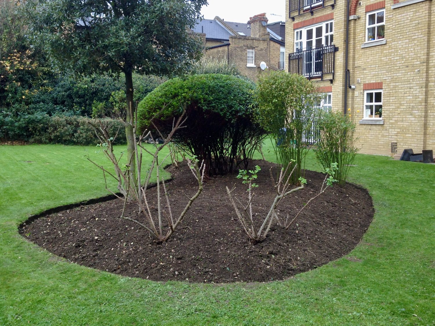 Seasonal Garden Tidy-Up Services