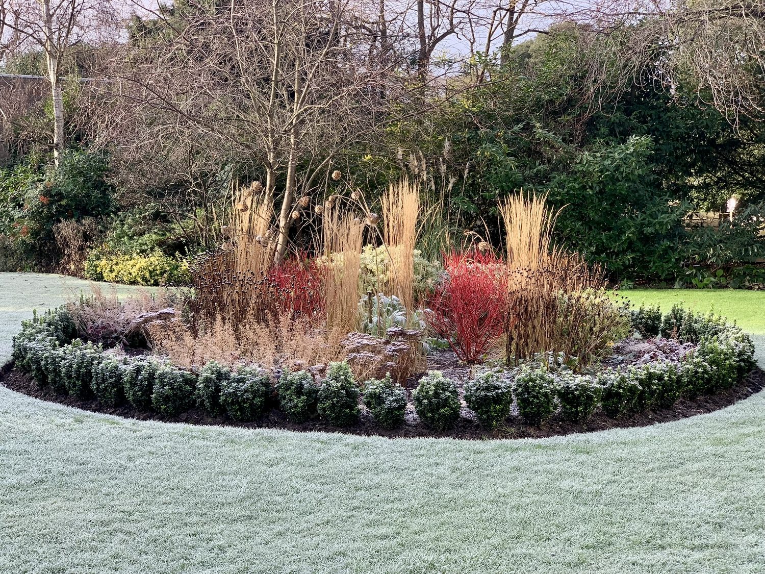 Seasonal Garden Tidy-Up Services