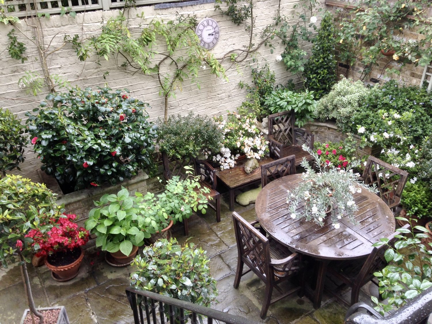Seasonal Garden Tidy-Up Services