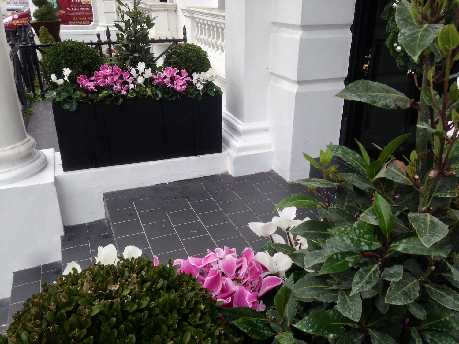 Window Box Planters South London