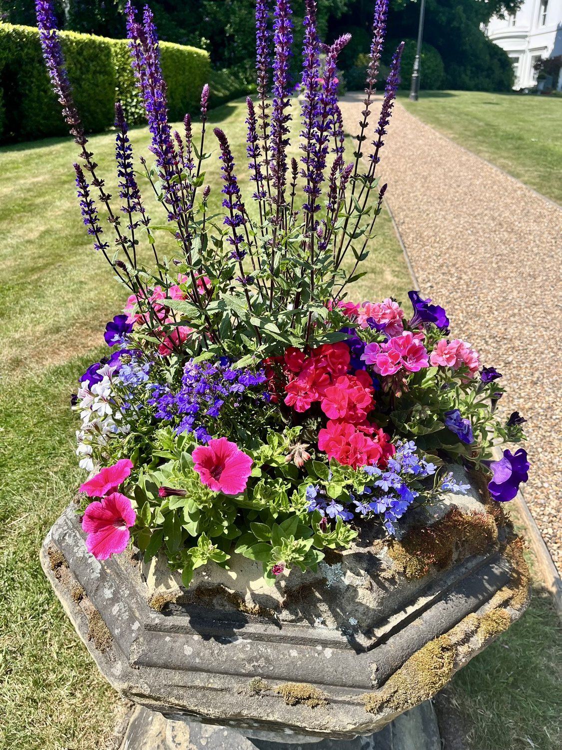 Window Box Planters South London