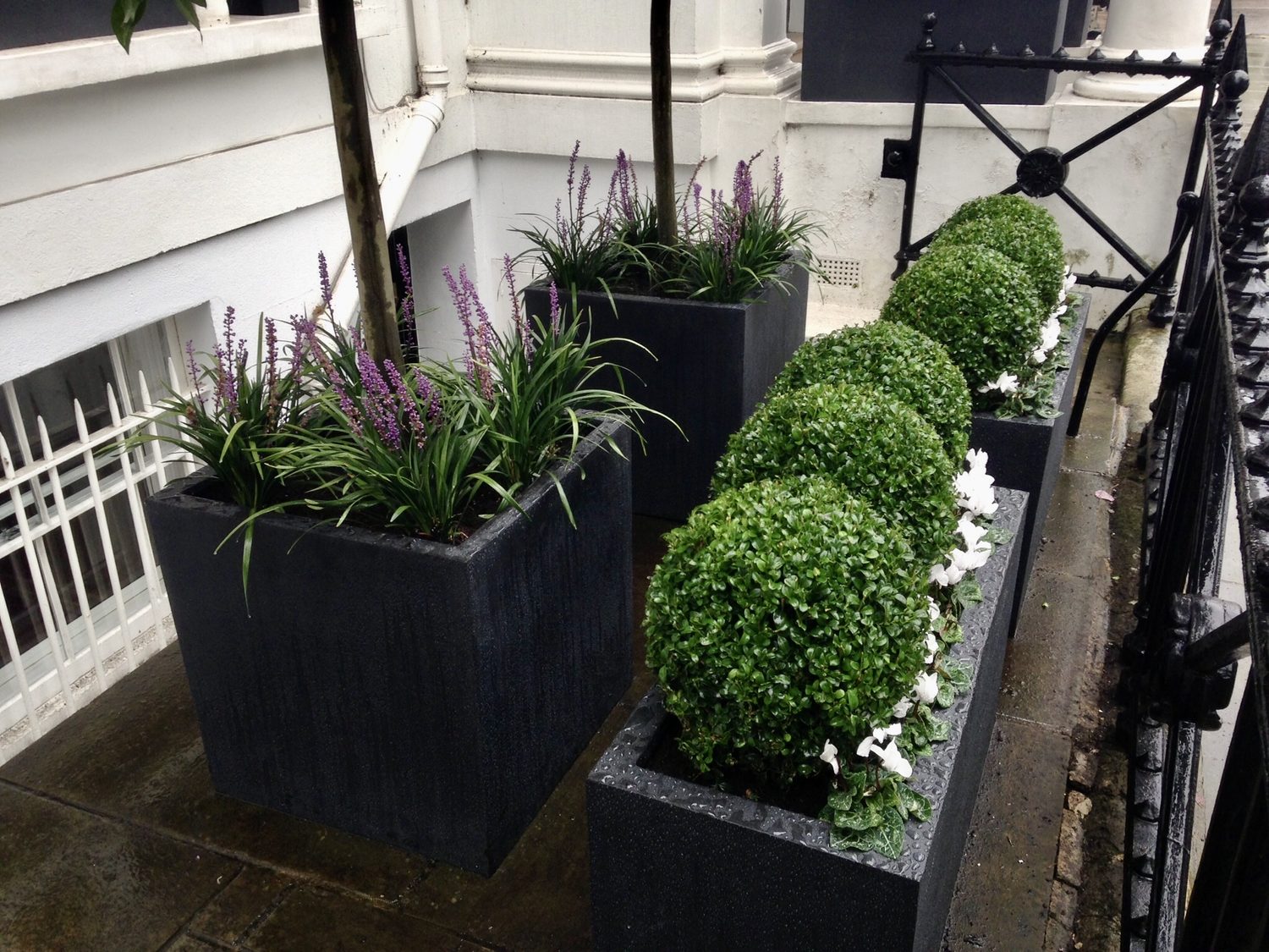 Window Box Planters South London