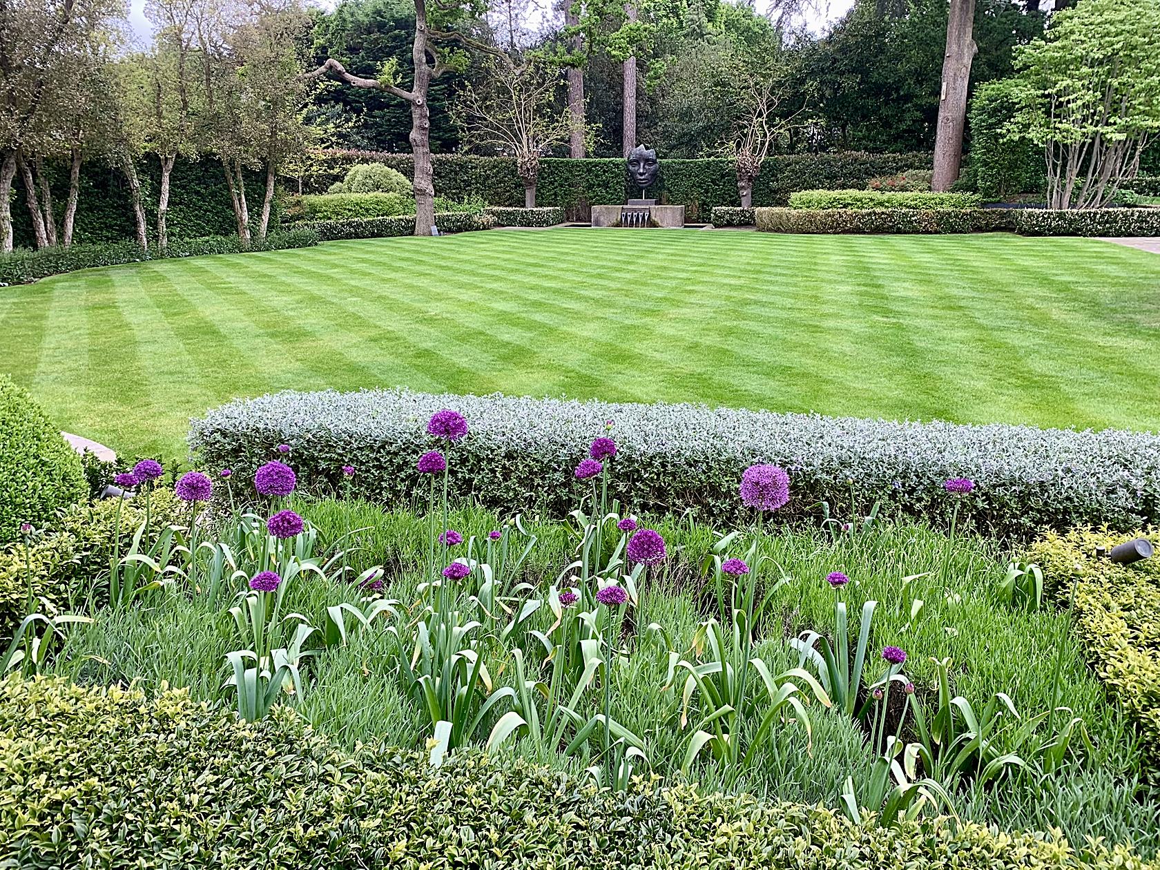 A striped formal lawn bordered with allium and clipped hedging, with a sculptural fountain beyond